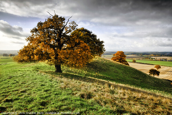 Autumn trees on Loath Hill Picture Board by Chris Drabble