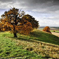 Buy canvas prints of Autumn trees on Loath Hill by Chris Drabble