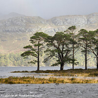 Buy canvas prints of Loch Maree Rainbow by Chris Drabble