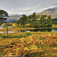 Buy canvas prints of Loch Tulla in early light by Chris Drabble