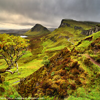 Buy canvas prints of Rain clouds over the Quiraing by Chris Drabble