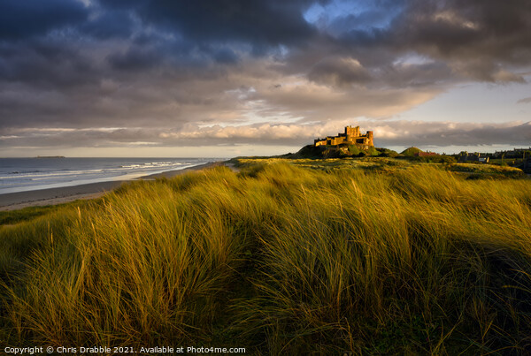 Sunset at Bamburgh Castle Picture Board by Chris Drabble