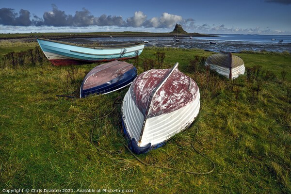 Fishing boats at Lindisfarne Picture Board by Chris Drabble