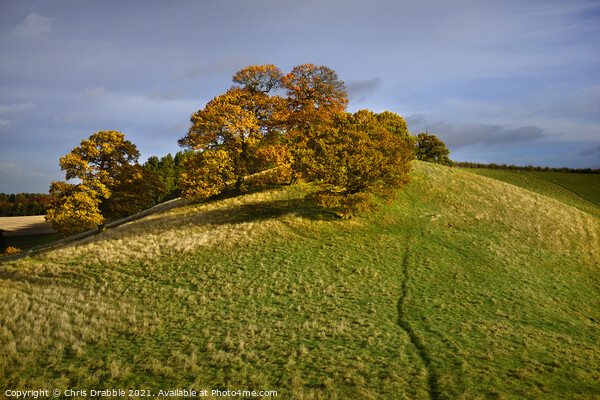 Robin Hood Hill in Autumn Picture Board by Chris Drabble