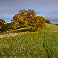 Buy canvas prints of Robin Hood Hill in Autumn by Chris Drabble