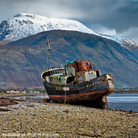Buy canvas prints of The wreck of the Golden Harvest (4) by Chris Drabble