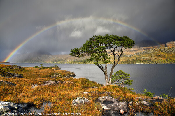 Rainbow at Loch Maree Picture Board by Chris Drabble