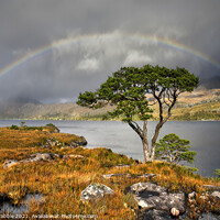 Buy canvas prints of Rainbow at Loch Maree by Chris Drabble