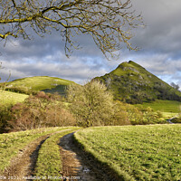 Buy canvas prints of Along the lane to Parkhouse hill by Chris Drabble