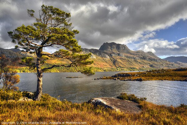 Slioch and Loch Maree Picture Board by Chris Drabble