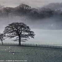 Buy canvas prints of Mist inversion in the Derwent Valley (1) by Chris Drabble