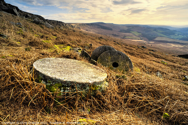 Abandoned Millstones, under Stanage Edge (5) Picture Board by Chris Drabble