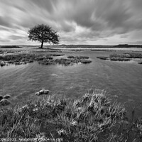 Buy canvas prints of After heavy rain on Middleton Moor (in Mono) by Chris Drabble