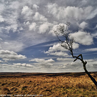 Buy canvas prints of Big sky on Big Moor by Chris Drabble
