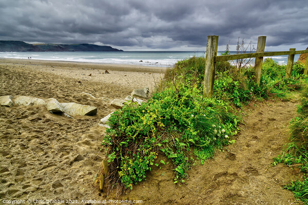 Widemouth Bay Picture Board by Chris Drabble