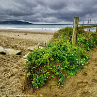 Buy canvas prints of Widemouth Bay by Chris Drabble