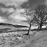 Buy canvas prints of Higger Tor from Hathersage Moor by Chris Drabble