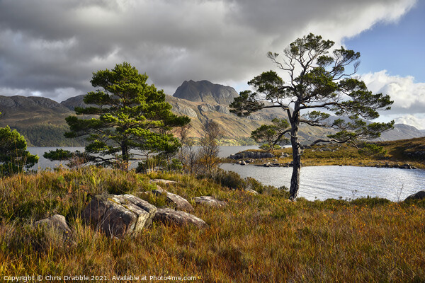 Loch Maree and Slioch Picture Board by Chris Drabble