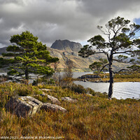 Buy canvas prints of Loch Maree and Slioch by Chris Drabble