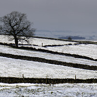 Buy canvas prints of Fields near Magpie Mine in Winter by Chris Drabble