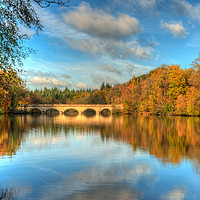Buy canvas prints of Virginia Water Lake in Autumn by Bob Barnes