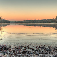 Buy canvas prints of A Frosty Dawn at Virginia Water Lake by Bob Barnes
