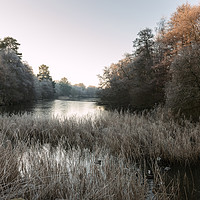 Buy canvas prints of Hoar Frost at Virginia Water Lake by Bob Barnes