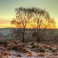 Buy canvas prints of Mogshade Hill in Winter The New Forest Hampshire by Bob Barnes