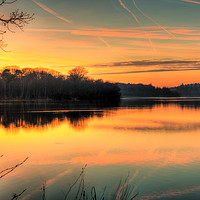 Buy canvas prints of Virginia Water Lake at Sunset Virginia Water Surre by Bob Barnes