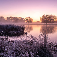 Buy canvas prints of Heron Pond in Winter Bushy Park Hampton London by Bob Barnes