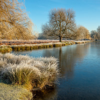 Buy canvas prints of Leg of Mutton Pond in Winter Bushy Park Hampton Lo by Bob Barnes