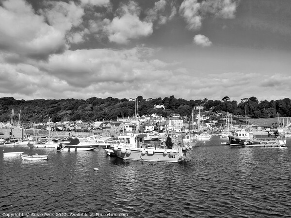 Lyme Regis Harbour Picture Board by Susie Peek