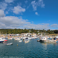 Buy canvas prints of Lyme Regis Harbour by Susie Peek