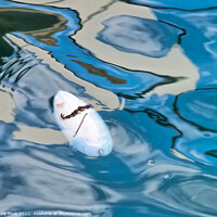 Buy canvas prints of Floating Cuttlefish Bone with Abstract Reflections by Susie Peek