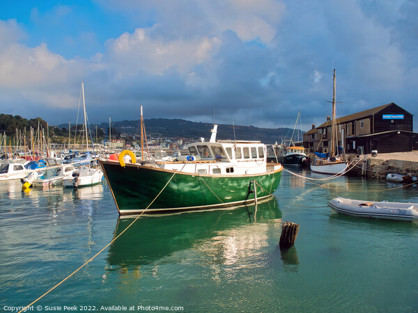 Lyme Regis Harbour on a Sunny September Morning Picture Board by Susie Peek