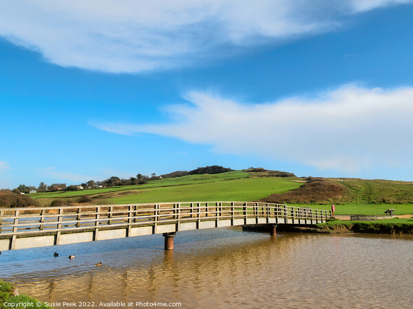 Bridge over the River Char at Charmouth Picture Board by Susie Peek