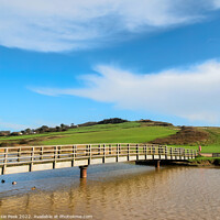 Buy canvas prints of Bridge over the River Char at Charmouth by Susie Peek