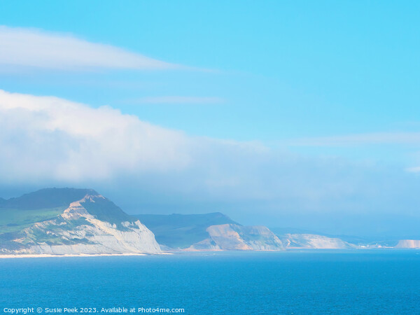 Jurassic Coastline on a Misty Summer Afternoon Picture Board by Susie Peek