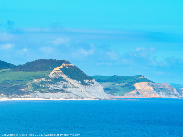 Jurassic Coastline on a Clear Summer Afternoon Picture Board by Susie Peek