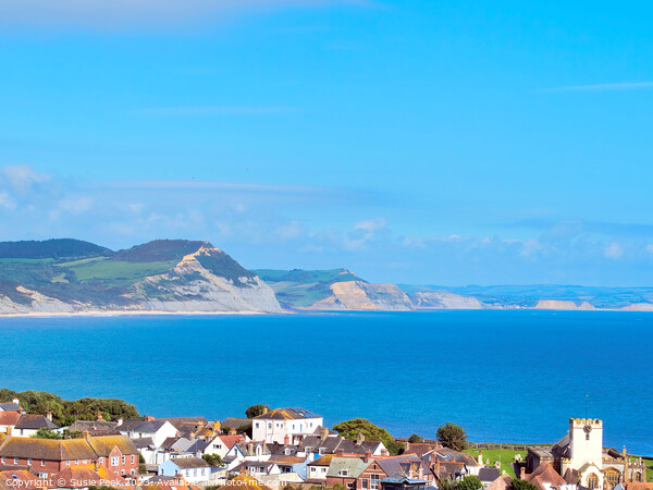 Jurassic Coastline on a Clear Summer Afternoon Picture Board by Susie Peek