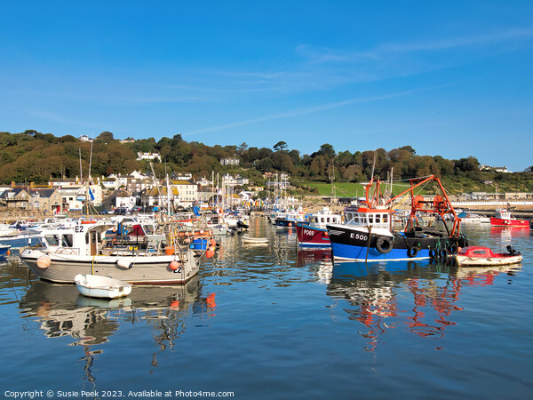 Lyme Regis Harbour on a September Morning Picture Board by Susie Peek