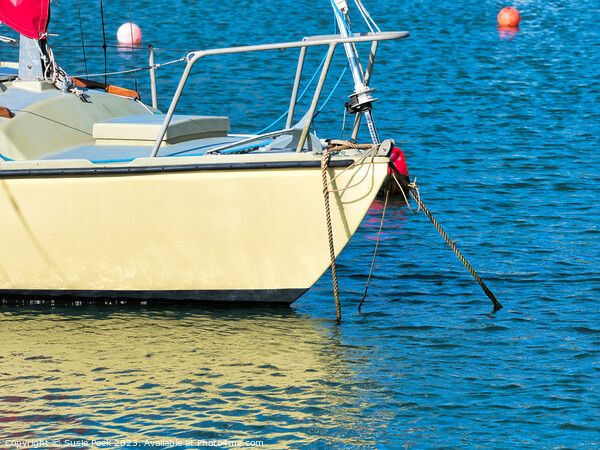 Small Sailboat in Calm Harbour Waters Picture Board by Susie Peek