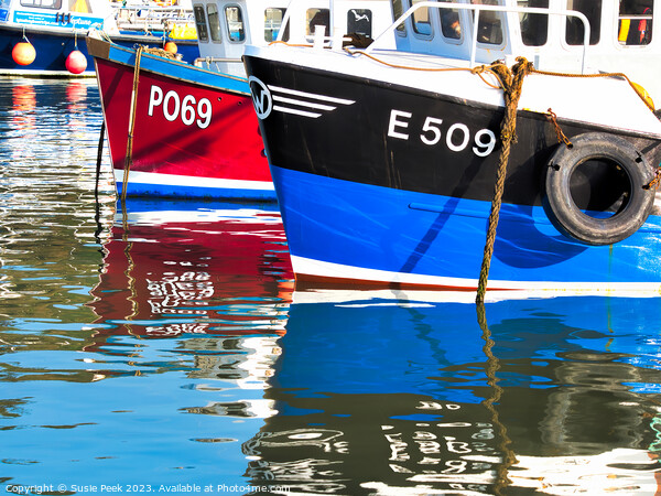 Harbour Reflections at Lyme Regis Picture Board by Susie Peek