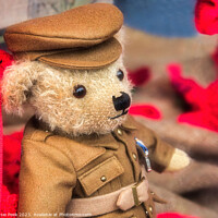 Buy canvas prints of Old Soldier Remembrance Teddy by Susie Peek