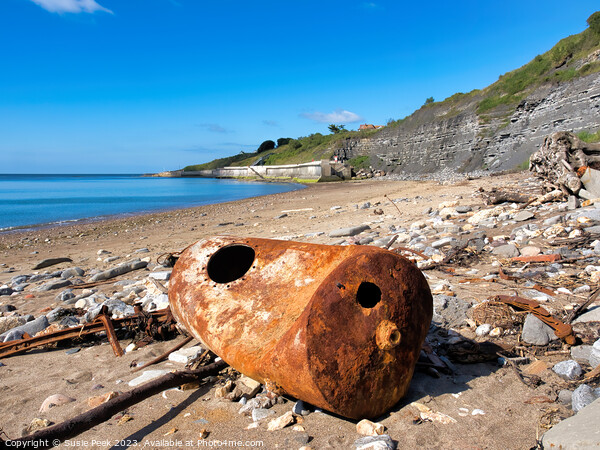 Old Rusted Objects at Lyme Regis Dorset Picture Board by Susie Peek