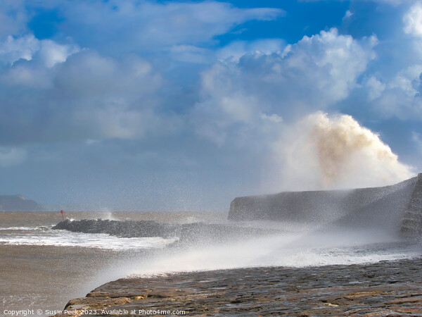 Storm Ciarán at Lyme Regis November 2023 Picture Board by Susie Peek