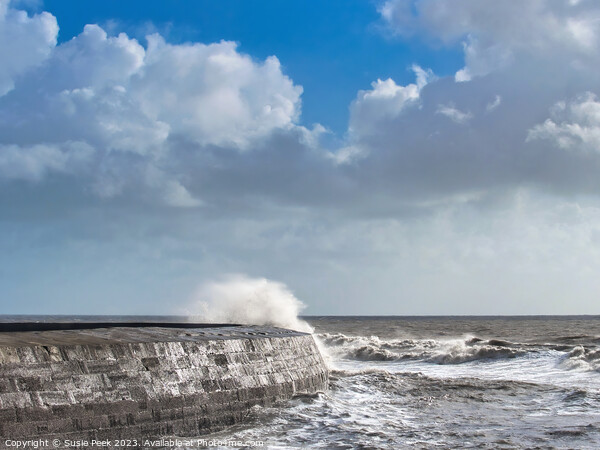 Storm Ciarán at Lyme Regis November 2023 Picture Board by Susie Peek