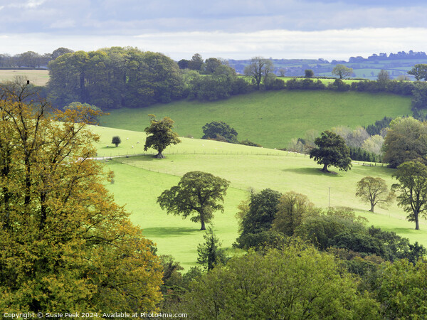 Landscape Overview near Chard Somerset Picture Board by Susie Peek