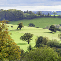 Buy canvas prints of Landscape Overview near Chard Somerset by Susie Peek