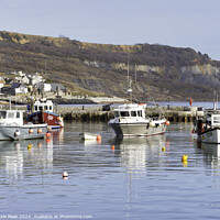 Buy canvas prints of Winter Harbour at Lyme Regis by Susie Peek
